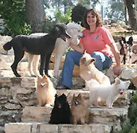 "For the best dog, you have to have the best trainer - which I had. Janice, for eight years I have continued to be amazed that you were able to bring a feral dog from the woods in the back of your house to the place he holds in our home now. Thank you again and again for all the time and effort and love you put into Morgan. I know that he held a special place in your heart too, and I am grateful you were able to allow me to be his "forever mom."
					
					Donna