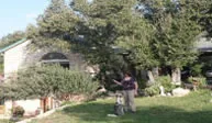 "Your place is beautiful. It is definitely the nicest dog-training center I have ever been to!"
            Caroline
          
          
            
            
            
            
            
            
            
            
            
            
              
                
                  Facilities
                
                
                  ARF is located on two fenced acres in northwest Austin. There are indoor and outdoor class and seminar spaces plus private boarding and spa areas. Our indoor spaces are fully air-conditioned and heated. Our landscaping is dog and people friendly.

We provide protected play areas for small, medium and large dogs, an agility course, a labyrinth and an in-ground swimming pool. Your dog will romp, run and relax in the tranquil hills of Austin with all of the luxuries we can provide.