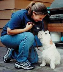 dog training facility