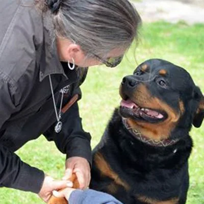 Barabara From The Heart Dog Training