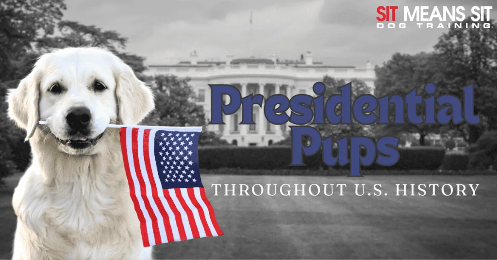 Presidential Pups Throughout U.S. History