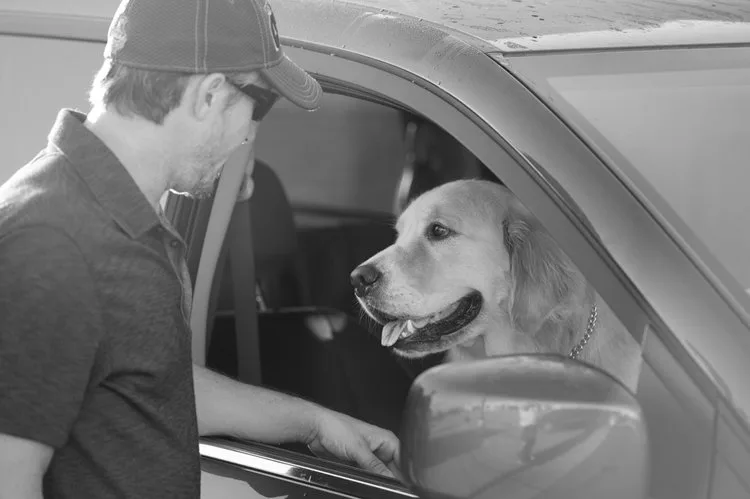 Dean works with professionals in the film industry and brings his dog handling expertise to the set