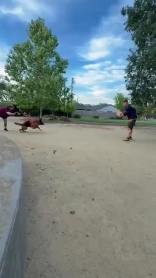 Training session preview