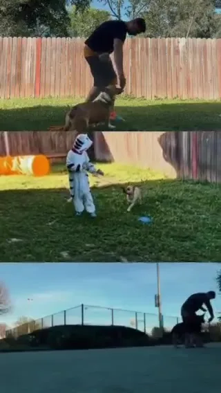 Training session preview