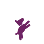 Private Canine Fitness Online and Los Angeles