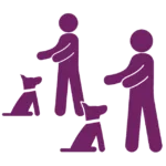 Dog Training Classes Santa Monica