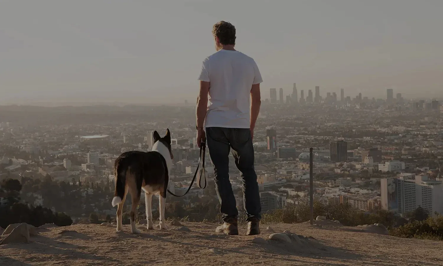Way of the Dog Home Page image