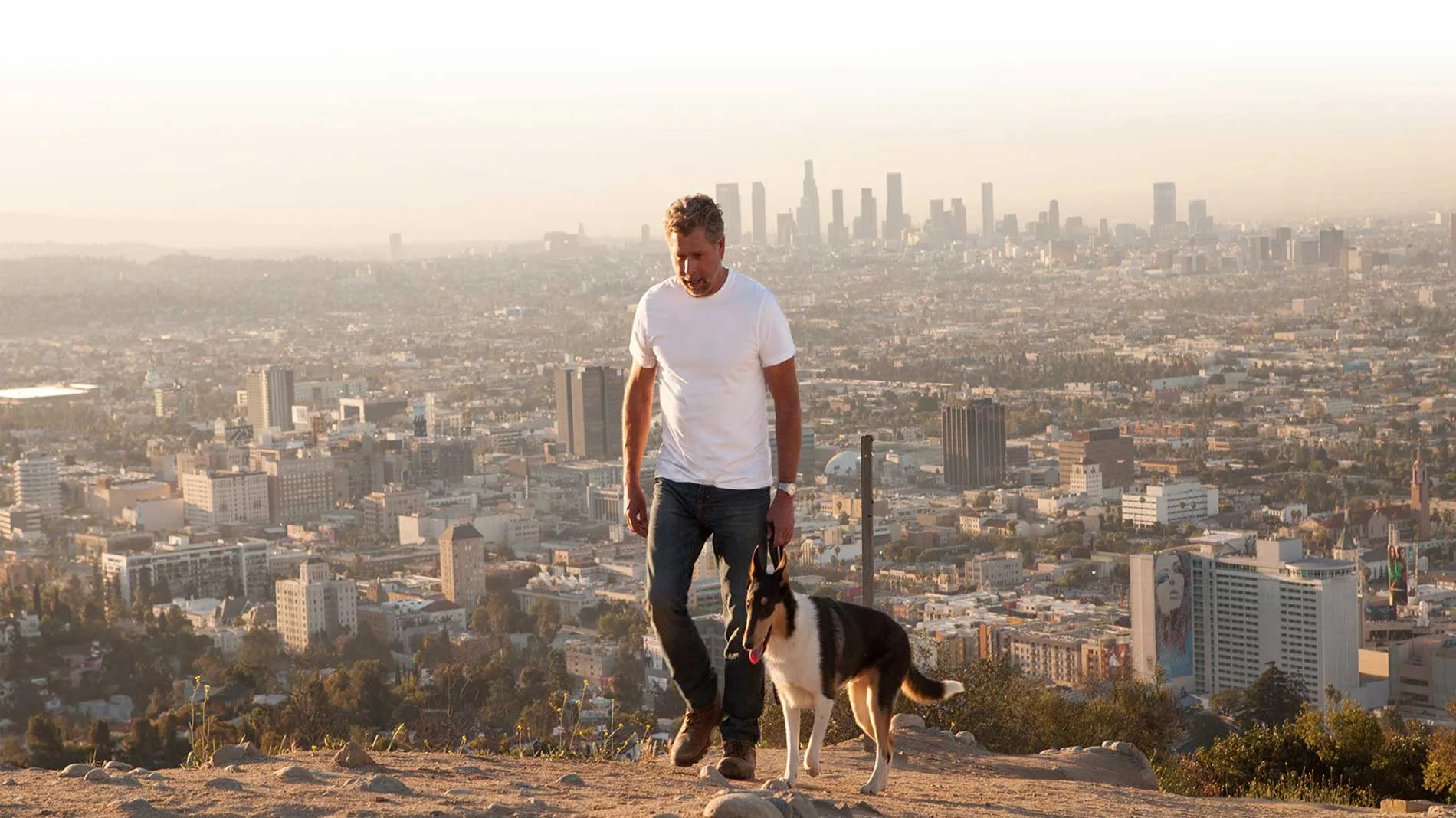 Let’s Zoom! Virtual One-On-One Dog Behavior Training with Brian Lee