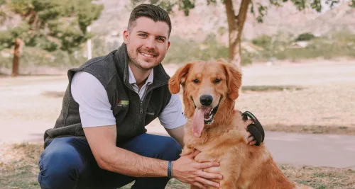 Home Dog Training