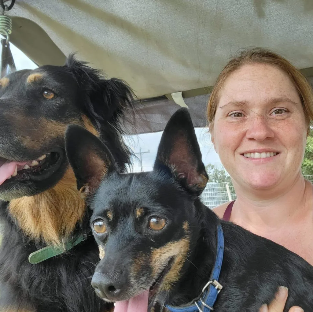 Imagine a world where there aren’t any unloved dogs. A world where training was so available that every dog was a pleasure to be around and easily found a home because dog ownership was so easy.  That is the world I want to see. That is why I started Come Sit Stay. We are here to make training enjoyable, affordable, and simple.
Shiloh has more than 15 years of experience training in obedience, rescue rehabilitation, Canine Good Citizenship award, Therapy dog training, and service dog training. Please contact us for information on programs, specials, discounts, and with any questions. We’re here to help!
We believe in positive reinforcement and force free training. Science and good sense indicate that any animal will respond better to rewards for good behavior. For more information, please contact us.
It is our belief that the relationship between an animal and a human is a tenuous balance of trust and respect. Confidence, caution, consistency, and care should be applied in all aspects of animal management. When these tenets are applied in life you can create a relationship that is inspirational.
Trainers