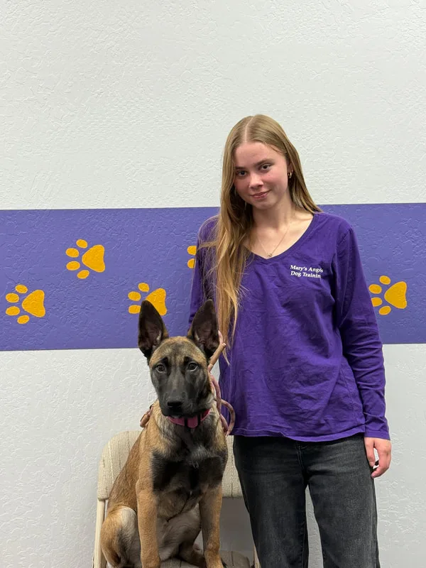 Melissa, Training Assistant





Melissa’s passion for dog training began at 14 with her energetic Labrador who needed a productive outlet. Starting with agility training, she quickly fell in love with the process of teaching and communicating with dogs. Wanting to learn as much as she could, Melissa began working under a professional trainer at a puppy day school, where she gained hands-on experience and continued developing her training skills.She has a particular interest in sport and working dogs and enjoys training driven, high-energy dogs.Melissa continues to build her experience working with a variety of dogs while developing her skills as a trainer. She enjoys learning and is committed to continuing her education as she works toward becoming a professional dog trainer.