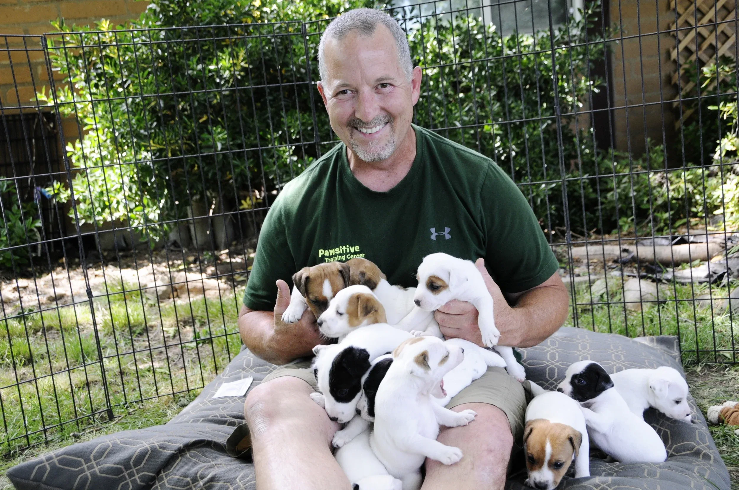 Pawsitive Training Center — dog training in Anderson, CA (2)