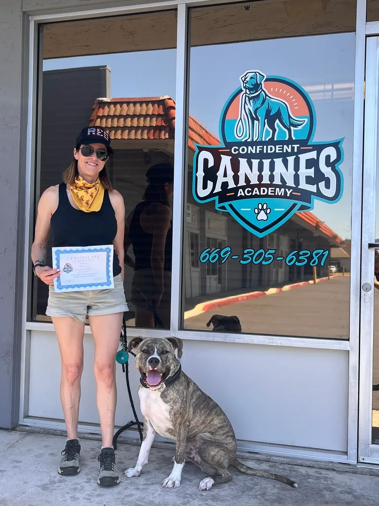 Confident Canines Academy — dog training in Morgan Hill, CA (3)