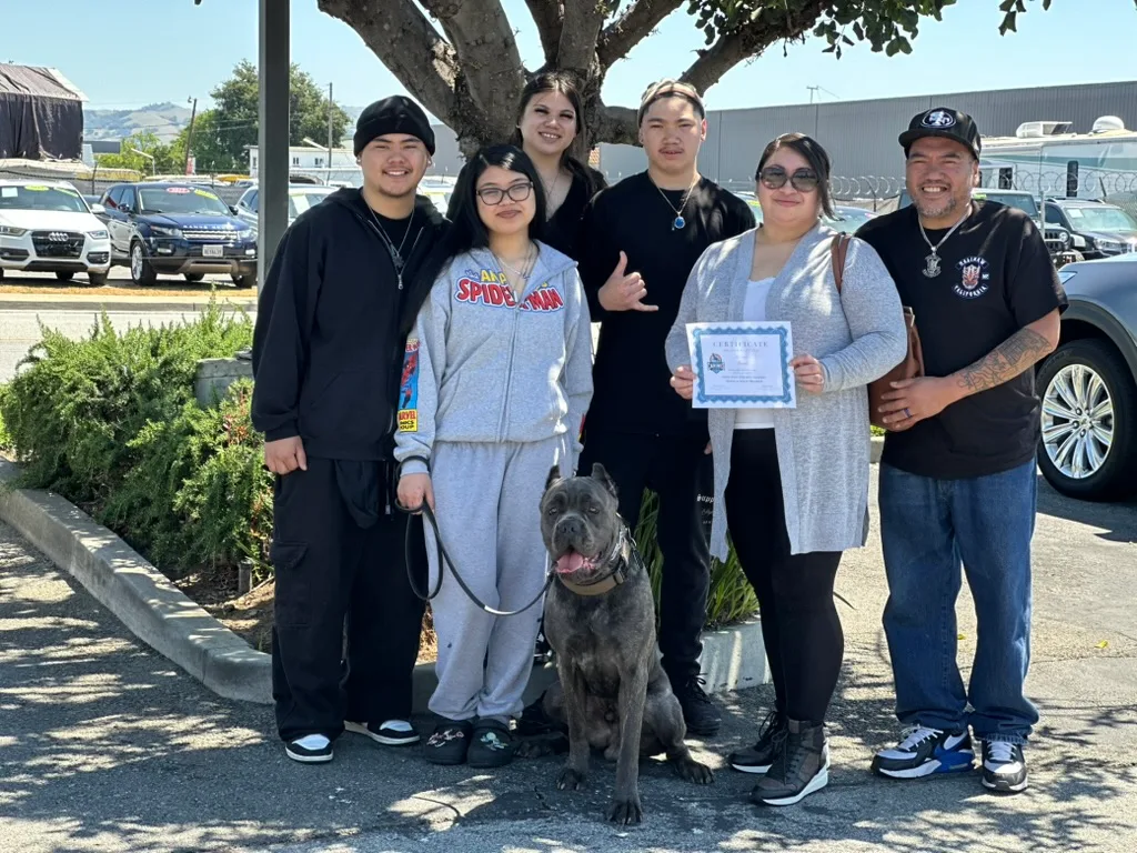 Confident Canines Academy — dog training in Morgan Hill, CA (4)