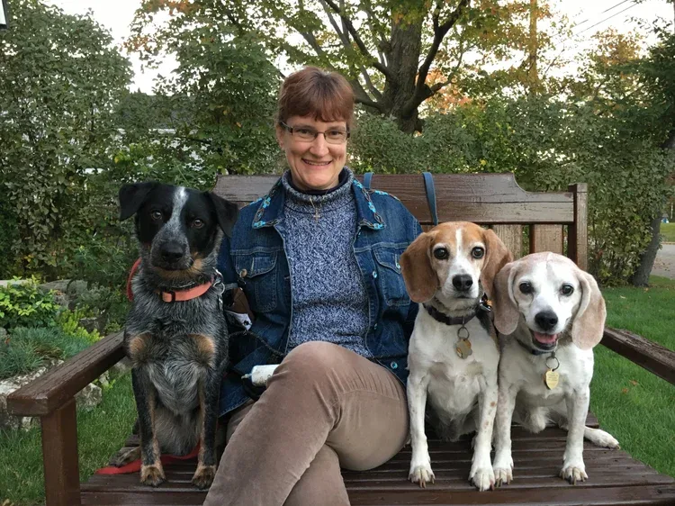 Susan Cole - Calm Family Dog Training