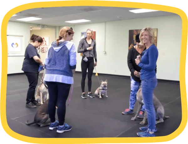 A Dog You’re Proud Of.
A Bond That Lasts.
North San Diego’s award-winning dog training studio — serving Carlsbad and North County San Diego since 1992.
Browse ClassesView Schedule & Register
	
		
			
  
  
  
  
  
  
    
  
  
		
	

	
		
			 5-Star Reviews
		
	
|

	
		
			 National Trainer of the Year
		
	
|

	
		
			 Serving North County San Diego


		
	
|

	
		
			 AKC CGC Certified Classes



		
	
Find the Right Class for Your Dog
From first-time puppies to off-leash athletes, there’s a place for every dog here.
Puppy & Adolescent
The best time to build good habits is right now. Foundation skills, socialization, and confidence — taught at the right time to set your dog up for life.
Start Their TrainingObedience Classes
Pulling on leash, ignoring commands, checking out in public — sound familiar? Our obedience classes will get your dog reliably listening, on leash and off.
Find an Obedience ClassFreedom Unleashed
The goal every dog owner dreams about: a dog you can trust off leash. This class builds the distance and focus to make that real.
Earn Off-Leash FreedomNosework
Tap into your dog’s most powerful instinct. Mentally engaging, endlessly rewarding, and a consistent favorite of dogs and owners alike.
Try NoseworkAgility
Jumps, tunnels, weave poles — and a dog that’s having the time of their life. A great next step for energetic dogs and motivated owners.
Explore AgilityCanine Good Citizen
The gold standard in dog manners. Earn your dog’s official AKC CGC certification and prove to the world what a great team you’ve become.
Get CGC CertifiedSee All ClassesNot sure if group class is right for your dog? Read this first!
Training North County San Diego Dogs Since 1992
Canine Learning Centers has been a trusted part of the North County San Diego community for over three decades. What started as a passion for helping dogs and their families thrive has grown into one of the most respected training programs in Southern California.
Laura Christiansen, the studio’s founder and lead trainer, was named National Trainer of the Year at the 61st Annual Show Dogs of the Year Awards — a recognition that reflects a career built on results, relationship, and genuine love for dogs.
Whether you’re starting from scratch with a new puppy or working through a specific challenge, Laura meets you and your dog exactly where you are — and gives you the tools to get where you want to go.
About LauraThe Canine Learning Centers Difference
Small Classes, Real Results
Every class at Canine Learning Centers is kept intentionally small. Your dog gets individual attention, you get real answers, and the training actually transfers to your life at home.
30+ Years of Expertise
Laura Christiansen has been training North County San Diego dogs since 1992 and was named National Trainer of the Year at the 61st Annual Show Dogs of the Year Awards — one of the most respected honors in the field.
Training That Builds Trust
Our methods are positive, science-based, and designed to strengthen the bond between you and your dog — not just produce obedience. The kind of trust that lasts well beyond graduation.
	
	
	
	
	
	
	

		
						What Our Clients are SayingI enrolled my rescue dog, Romeo, in Laura’s Canine Learning Center classes from beginner to good citizen training to advanced therapy dog. I really enjoyed the multiple classes and her teaching style. Now we are part of her group of “Caring Paws” and visit nursing homes. What I am impressed about is that breed and size of dogs do not matter because she is an expert in all levels in this field. I highly recommend Laura Christiansen. Thank you Laura. Because of you and your teaching style, “Everybody loves Romeo”.
 Shahpar OstovarWhat Our Clients are SayingI enrolled my rescue dog, Romeo, in Laura’s Canine Learning Center classes from beginner to good citizen training to advanced therapy dog. I really enjoyed the multiple classes and her teaching style. Now we are part of her group of “Caring Paws” and visit nursing homes. What I am impressed about is that breed and size of dogs do not matter because she is an expert in all levels in this field. I highly recommend Laura Christiansen. Thank you Laura. Because of you and your teaching style, “Everybody loves Romeo”.
 Shahpar Ostovar		
			
		
						What Our Clients are SayingLaura Christiansen has given us the opportunity to become strong, structured and loving leaders for our very great puppy. We have been in Puppy Kindergarten, Beginner Obedience, Beginner Practice Class, Puppy Learn and Play, Canine Good Citizen and Freedom Unleashed within a year. Every class has brought us new challenges in our adventure to raise a well balanced puppy. Every step of the way, we have felt encouraged and empowered by Laura to train our puppy to be a great dog.
Shauna WoodwardWhat Our Clients are SayingLaura Christiansen has given us the opportunity to become strong, structured and loving leaders for our very great puppy. We have been in Puppy Kindergarten, Beginner Obedience, Beginner Practice Class, Puppy Learn and Play, Canine Good Citizen and Freedom Unleashed within a year. Every class has brought us new challenges in our adventure to raise a well balanced puppy. Every step of the way, we have felt encouraged and empowered by Laura to train our puppy to be a great dog.
Shauna Woodward		
			
		
						What Our Clients are SayingMany of us dog parents realize that we need training, before we can expect our dogs to be well-trained. Because she loves dogs, and has dedicated her life to understanding their ways and needs, Laura Christiansen is a people trainer too. Working with Laura, you and your dog will feel her extraordinary firmness and compassion, and that first class is not likely to be your last!
Carrie WeinbergerWhat Our Clients are SayingMany of us dog parents realize that we need training, before we can expect our dogs to be well-trained. Because she loves dogs, and has dedicated her life to understanding their ways and needs, Laura Christiansen is a people trainer too. Working with Laura, you and your dog will feel her extraordinary firmness and compassion, and that first class is not likely to be your last!
Carrie Weinberger		
			
		
						What Our Clients are SayingI highly recommend Canine Learning Center for your puppy or adult dogs training needs. Laura Christiansen is an amazing trainer. Sully and I started with Private Lessons that included the Beginner Practice Class then we went on to the Canine Good Citizen class. Not only is Laura the best dog trainer she has also helped train me so I could be a better dog parent! Next we will be in the Freedom Unleashed class -I can’t wait!!
Maria SeguraWhat Our Clients are SayingI highly recommend Canine Learning Center for your puppy or adult dogs training needs. Laura Christiansen is an amazing trainer. Sully and I started with Private Lessons that included the Beginner Practice Class then we went on to the Canine Good Citizen class. Not only is Laura the best dog trainer she has also helped train me so I could be a better dog parent! Next we will be in the Freedom Unleashed class -I can’t wait!!
Maria Segura		
			
		
						What Our Clients are SayingLaura is a terrific trainer who has helped train my dog for the past year. We have taken multiple group classes with her and each has provided us so much value for understanding and working with our dog, Louie. She truly understands dog behavior. I have been introduced to fun enrichment activities, which has helped deepen the bond I have with my dog. We definitely plan to continue with classes. It has been a wonderful experience working with Laura and we really appreciate all we have learned!
Brittany E.What Our Clients are SayingLaura is a terrific trainer who has helped train my dog for the past year. We have taken multiple group classes with her and each has provided us so much value for understanding and working with our dog, Louie. She truly understands dog behavior. I have been introduced to fun enrichment activities, which has helped deepen the bond I have with my dog. We definitely plan to continue with classes. It has been a wonderful experience working with Laura and we really appreciate all we have learned!
Brittany E.		
			
		
						What Our Clients are SayingLaura is a fantastic teacher! I can’t thank her enough for all she’s helped us! The transition has been amazing to watch. She taught both of us how to understand each other. I highly recommend Canine Learning Center!
Toni CasityWhat Our Clients are SayingLaura is a fantastic teacher! I can’t thank her enough for all she’s helped us! The transition has been amazing to watch. She taught both of us how to understand each other. I highly recommend Canine Learning Center!
Toni Casity		
			
		
						What Our Clients are SayingExcellent place to take your dog for obedience and/or behavioral issues. Laura is very experienced and knowledgeable. She has helped me with my Great Dane, Daisy. She even helped her not be scared around big dogs! Thank you so much ! I will continue to use Laura to have a very well behaved Dane.
I recommend her !!!!
Dora B.What Our Clients are SayingExcellent place to take your dog for obedience and/or behavioral issues. Laura is very experienced and knowledgeable. She has helped me with my Great Dane, Daisy. She even helped her not be scared around big dogs! Thank you so much ! I will continue to use Laura to have a very well behaved Dane.
I recommend her !!!!
Dora B.		
			
		
						What Our Clients are SayingI enrolled my rescue dog, Romeo, in Laura’s Canine Learning Center classes from beginner to good citizen training to advanced therapy dog. I really enjoyed the multiple classes and her teaching style. Now we are part of her group of “Caring Paws” and visit nursing homes. What I am impressed about is that breed and size of dogs do not matter because she is an expert in all levels in this field. I highly recommend Laura Christiansen. Thank you Laura. Because of you and your teaching style, “Everybody loves Romeo”.
 Shahpar OstovarWhat Our Clients are SayingI enrolled my rescue dog, Romeo, in Laura’s Canine Learning Center classes from beginner to good citizen training to advanced therapy dog. I really enjoyed the multiple classes and her teaching style. Now we are part of her group of “Caring Paws” and visit nursing homes. What I am impressed about is that breed and size of dogs do not matter because she is an expert in all levels in this field. I highly recommend Laura Christiansen. Thank you Laura. Because of you and your teaching style, “Everybody loves Romeo”.
 Shahpar Ostovar		
			
		
						What Our Clients are SayingLaura Christiansen has given us the opportunity to become strong, structured and loving leaders for our very great puppy. We have been in Puppy Kindergarten, Beginner Obedience, Beginner Practice Class, Puppy Learn and Play, Canine Good Citizen and Freedom Unleashed within a year. Every class has brought us new challenges in our adventure to raise a well balanced puppy. Every step of the way, we have felt encouraged and empowered by Laura to train our puppy to be a great dog.
Shauna WoodwardWhat Our Clients are SayingLaura Christiansen has given us the opportunity to become strong, structured and loving leaders for our very great puppy. We have been in Puppy Kindergarten, Beginner Obedience, Beginner Practice Class, Puppy Learn and Play, Canine Good Citizen and Freedom Unleashed within a year. Every class has brought us new challenges in our adventure to raise a well balanced puppy. Every step of the way, we have felt encouraged and empowered by Laura to train our puppy to be a great dog.
Shauna Woodward		
			
		
						What Our Clients are SayingMany of us dog parents realize that we need training, before we can expect our dogs to be well-trained. Because she loves dogs, and has dedicated her life to understanding their ways and needs, Laura Christiansen is a people trainer too. Working with Laura, you and your dog will feel her extraordinary firmness and compassion, and that first class is not likely to be your last!
Carrie WeinbergerWhat Our Clients are SayingMany of us dog parents realize that we need training, before we can expect our dogs to be well-trained. Because she loves dogs, and has dedicated her life to understanding their ways and needs, Laura Christiansen is a people trainer too. Working with Laura, you and your dog will feel her extraordinary firmness and compassion, and that first class is not likely to be your last!
Carrie Weinberger		
			
		
						What Our Clients are SayingI highly recommend Canine Learning Center for your puppy or adult dogs training needs. Laura Christiansen is an amazing trainer. Sully and I started with Private Lessons that included the Beginner Practice Class then we went on to the Canine Good Citizen class. Not only is Laura the best dog trainer she has also helped train me so I could be a better dog parent! Next we will be in the Freedom Unleashed class -I can’t wait!!
Maria SeguraWhat Our Clients are SayingI highly recommend Canine Learning Center for your puppy or adult dogs training needs. Laura Christiansen is an amazing trainer. Sully and I started with Private Lessons that included the Beginner Practice Class then we went on to the Canine Good Citizen class. Not only is Laura the best dog trainer she has also helped train me so I could be a better dog parent! Next we will be in the Freedom Unleashed class -I can’t wait!!
Maria Segura		
			
		
						What Our Clients are SayingLaura is a terrific trainer who has helped train my dog for the past year. We have taken multiple group classes with her and each has provided us so much value for understanding and working with our dog, Louie. She truly understands dog behavior. I have been introduced to fun enrichment activities, which has helped deepen the bond I have with my dog. We definitely plan to continue with classes. It has been a wonderful experience working with Laura and we really appreciate all we have learned!
Brittany E.What Our Clients are SayingLaura is a terrific trainer who has helped train my dog for the past year. We have taken multiple group classes with her and each has provided us so much value for understanding and working with our dog, Louie. She truly understands dog behavior. I have been introduced to fun enrichment activities, which has helped deepen the bond I have with my dog. We definitely plan to continue with classes. It has been a wonderful experience working with Laura and we really appreciate all we have learned!
Brittany E.		
			
		
						What Our Clients are SayingLaura is a fantastic teacher! I can’t thank her enough for all she’s helped us! The transition has been amazing to watch. She taught both of us how to understand each other. I highly recommend Canine Learning Center!
Toni CasityWhat Our Clients are SayingLaura is a fantastic teacher! I can’t thank her enough for all she’s helped us! The transition has been amazing to watch. She taught both of us how to understand each other. I highly recommend Canine Learning Center!
Toni Casity		
			
		
						What Our Clients are SayingExcellent place to take your dog for obedience and/or behavioral issues. Laura is very experienced and knowledgeable. She has helped me with my Great Dane, Daisy. She even helped her not be scared around big dogs! Thank you so much ! I will continue to use Laura to have a very well behaved Dane.
I recommend her !!!!
Dora B.What Our Clients are SayingExcellent place to take your dog for obedience and/or behavioral issues. Laura is very experienced and knowledgeable. She has helped me with my Great Dane, Daisy. She even helped her not be scared around big dogs! Thank you so much ! I will continue to use Laura to have a very well behaved Dane.
I recommend her !!!!
Dora B.		
			
		
						What Our Clients are SayingI enrolled my rescue dog, Romeo, in Laura’s Canine Learning Center classes from beginner to good citizen training to advanced therapy dog. I really enjoyed the multiple classes and her teaching style. Now we are part of her group of “Caring Paws” and visit nursing homes. What I am impressed about is that breed and size of dogs do not matter because she is an expert in all levels in this field. I highly recommend Laura Christiansen. Thank you Laura. Because of you and your teaching style, “Everybody loves Romeo”.
 Shahpar OstovarWhat Our Clients are SayingI enrolled my rescue dog, Romeo, in Laura’s Canine Learning Center classes from beginner to good citizen training to advanced therapy dog. I really enjoyed the multiple classes and her teaching style. Now we are part of her group of “Caring Paws” and visit nursing homes. What I am impressed about is that breed and size of dogs do not matter because she is an expert in all levels in this field. I highly recommend Laura Christiansen. Thank you Laura. Because of you and your teaching style, “Everybody loves Romeo”.
 Shahpar Ostovar		
			Loving Mick, My Reactive Dog
A New Book by Laura Christiansen
Even award-winning trainers have challenging dogs. In Loving Mick, Laura shares the honest, sometimes humbling story of raising and training her own reactive dog — and what it taught her about patience, consistency, and the depth of the human-canine bond. Part memoir, part training guide, it’s a book for anyone who has ever loved a difficult dog or simply wants to understand theirs a little better.

	
		
			
	
Learn MoreCome Train With Us
Canine Learning Centers is located in Carlsbad, CA — with a beautiful indoor training facility that makes classes comfortable year-round, no matter the weather.
Classes Are Forming Now
Spots fill quickly, especially in puppy and beginner obedience sessions. Check the current schedule and reserve your dog’s spot today.
Register Now