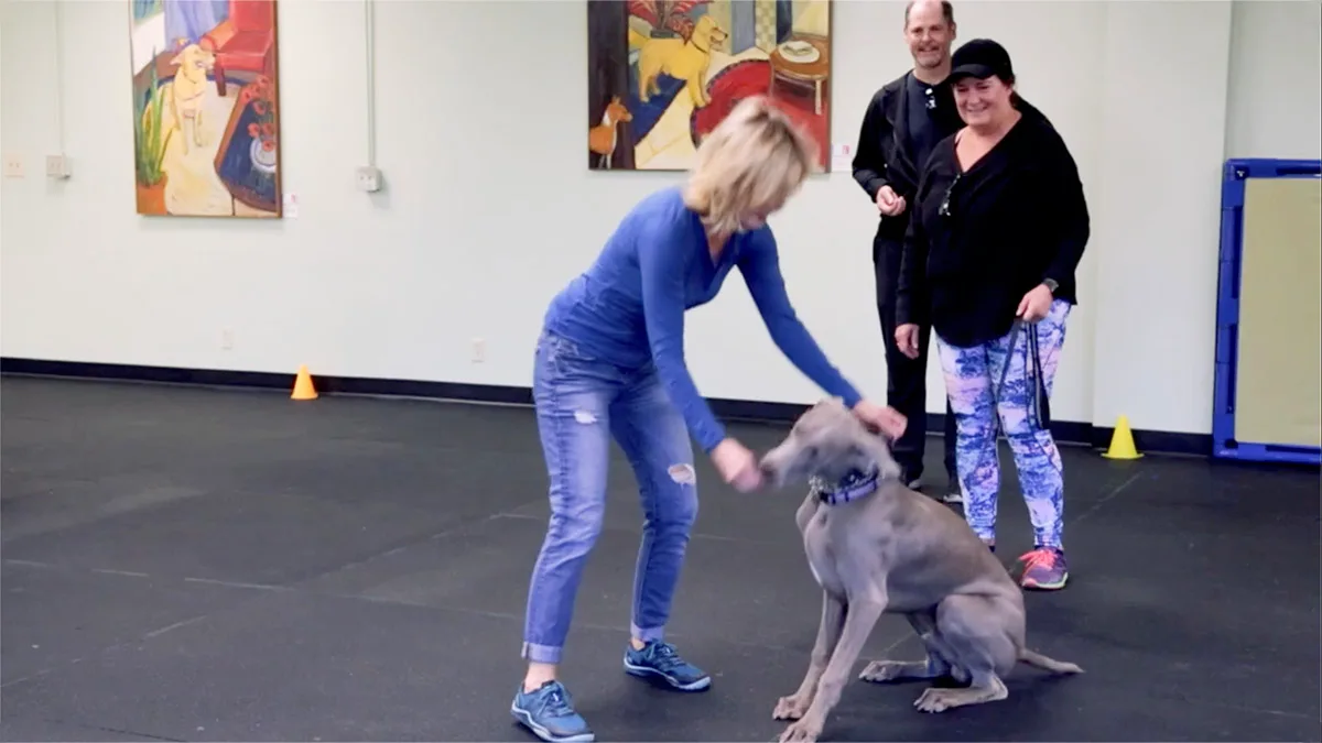Dog agility training at Canine Learning Centers in Carlsbad CA