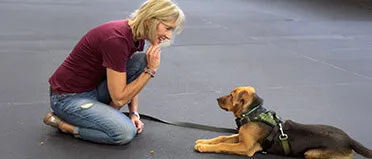 Carlsbad dog trainer Laura Christiansen working one-on-one with a young dog using positive reinforcement during a puppy training session at Canine Learning Centers