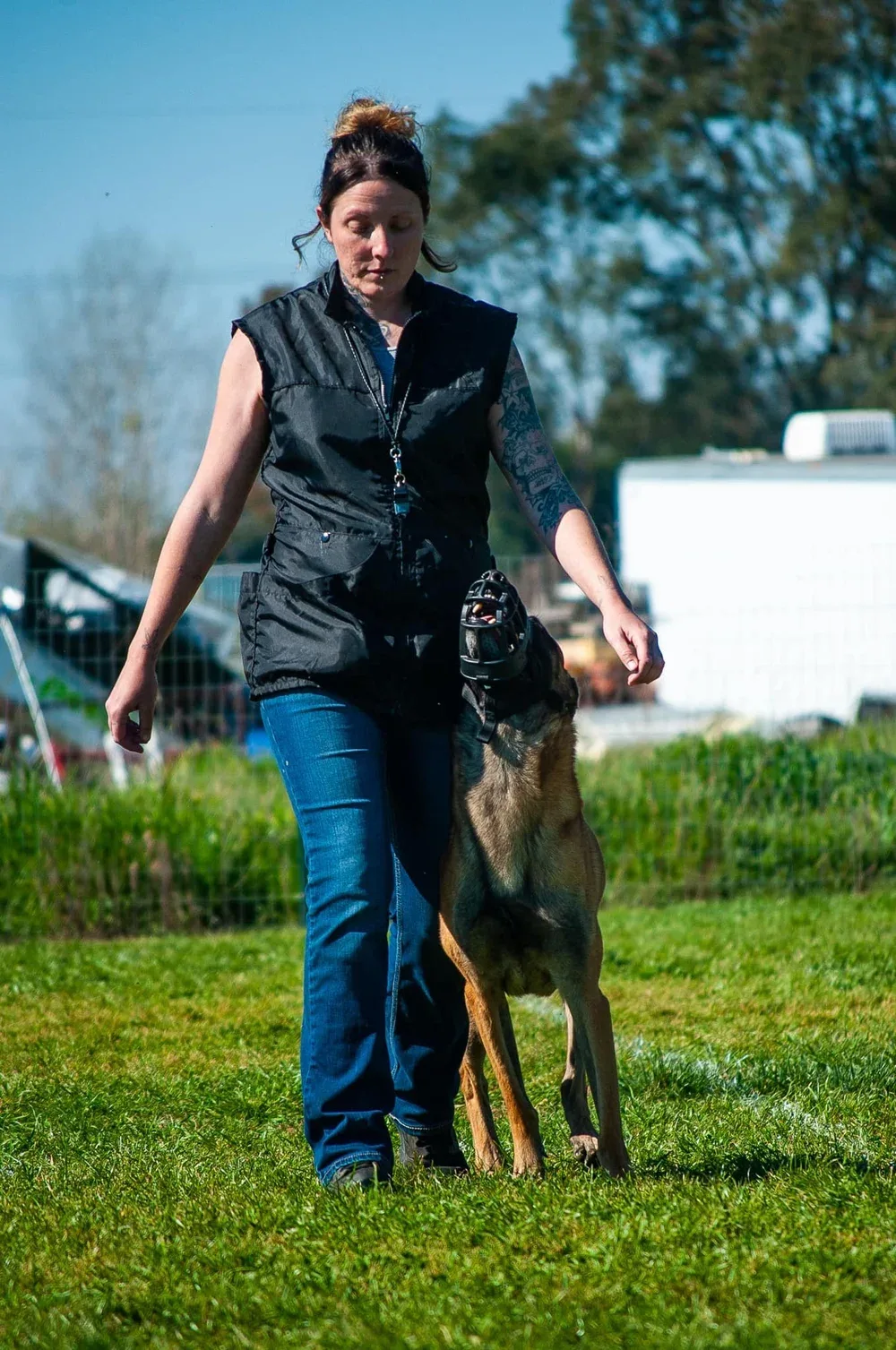 Animal Minds — dog training in Rancho Cordova, CA (3)