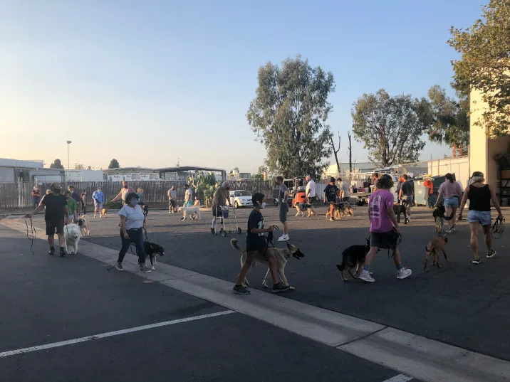 Allen's Sandstone Dog Training — dog training in Orange, CA (3)