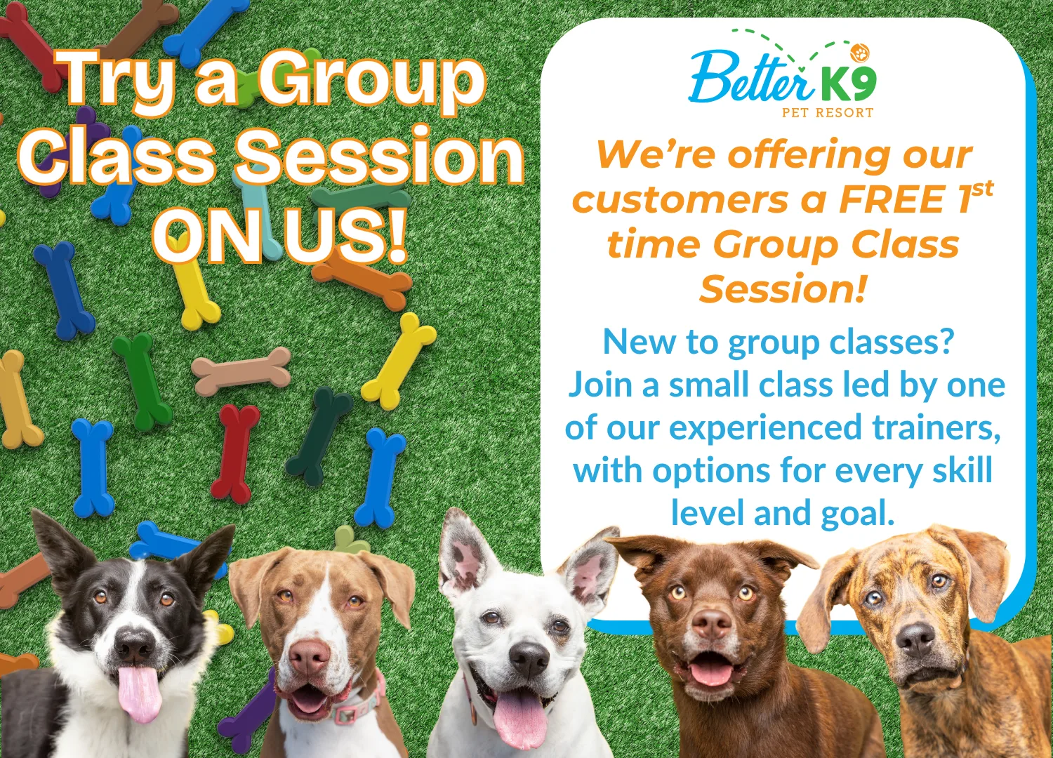 Free Group Class