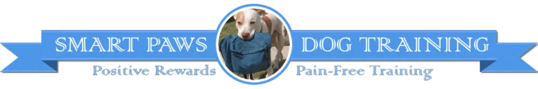 Home
About
Group Classes
In-Home Classes
Training Walks
Videos
Testimonials
Links
Contact Us

					
			
			Menu
		
		Home
About
Group Classes
In-Home Classes
Training Walks
Videos
Testimonials
Links
Contact Us