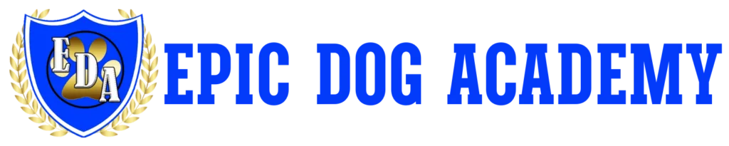 Dog boarding in Murreita CA