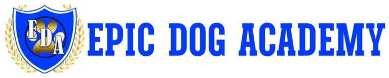 Dog boarding in Murreita CA