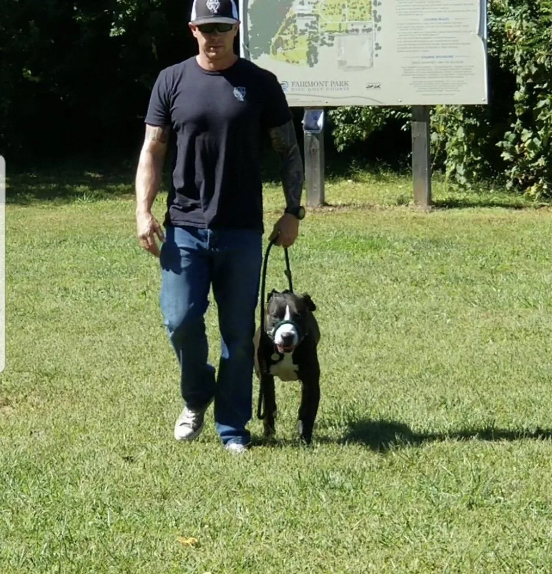 Dog 4