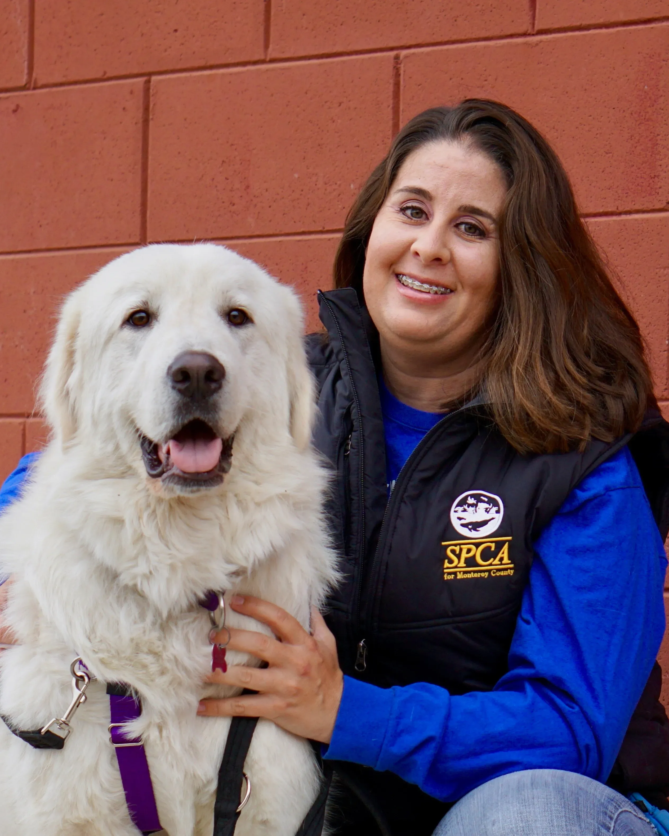 SPCA for Monterey County Dog Training — dog training in Salinas, CA (2)