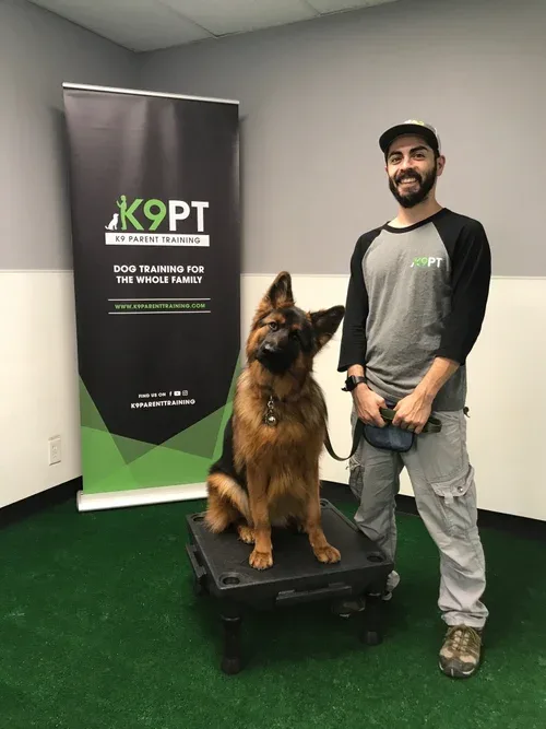 K9 Parent Training LLC — dog training in Palm Desert, CA (4)