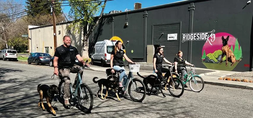 Ridgeside K9 NorCal dog training team featured image for the about us page.