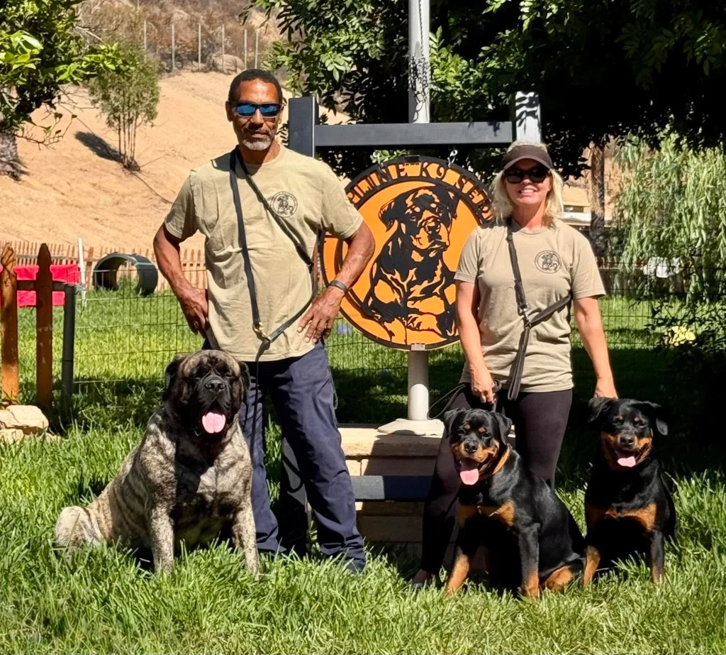 toplinek9services — dog training in Perris, CA (3)