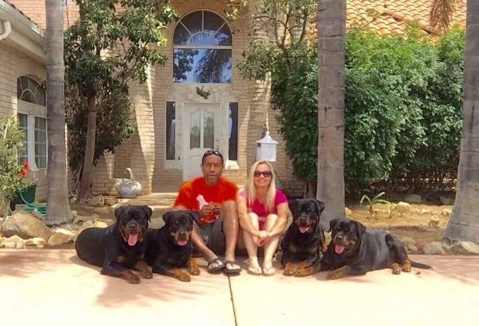 toplinek9services — dog training in Perris, CA