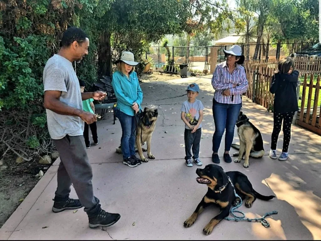toplinek9services — dog training in Perris, CA (4)