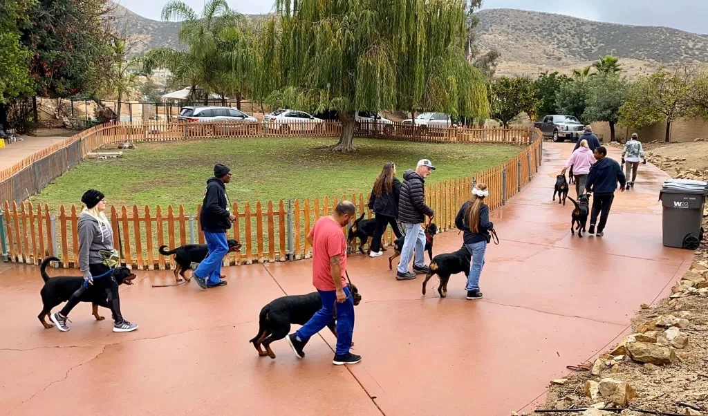 toplinek9services — dog training in Perris, CA (5)