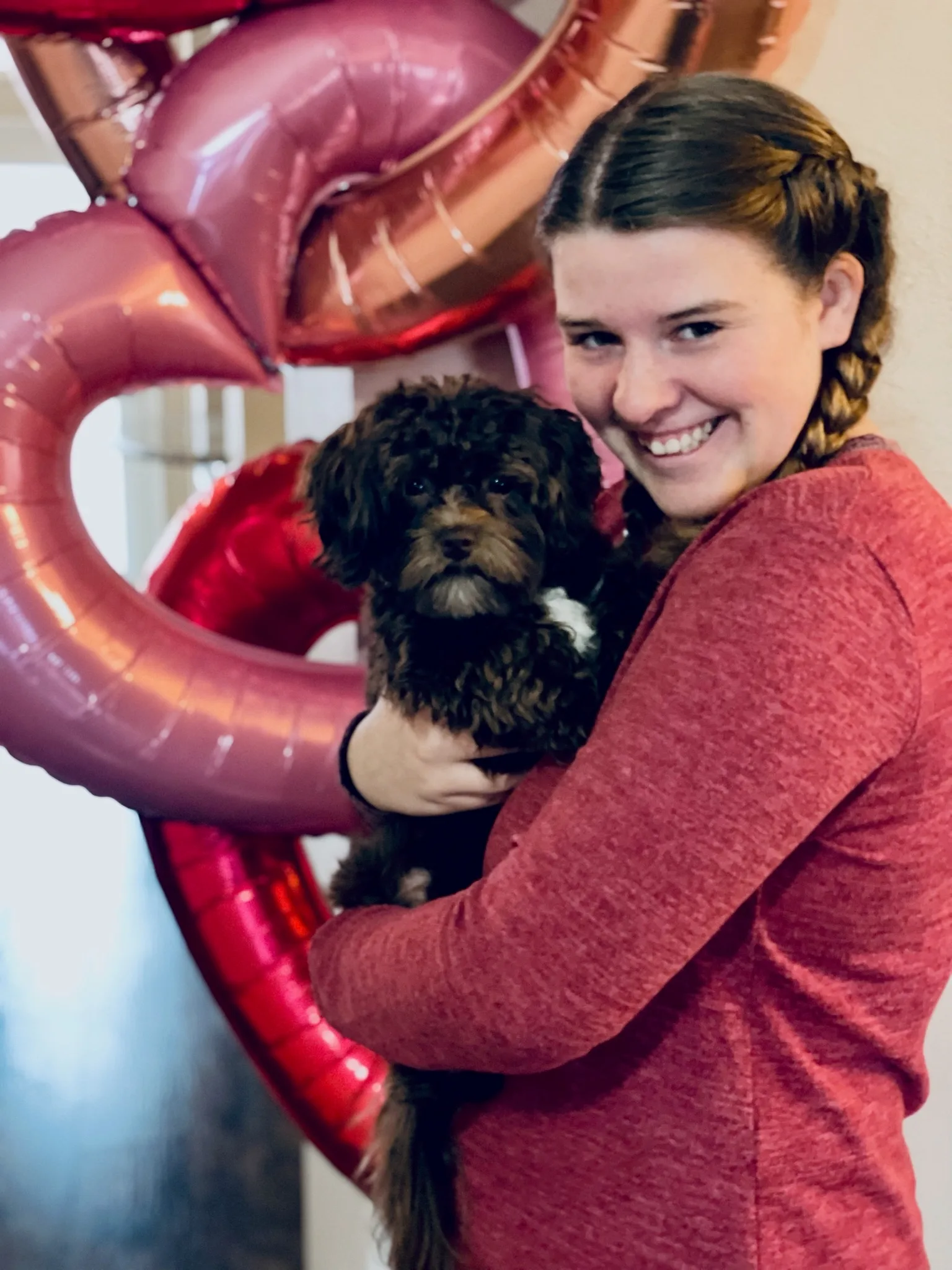 BarkSmart Dog Training: dog training in Little Elm, TX (2)