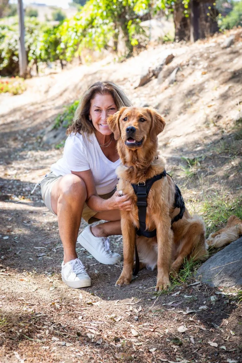COMPANION DOG TRAININGTraining Director for Next Step Service Dogs 2015-Present
Founder and Training Director of Companion Dog Training (CDT) 2019 – Present| CPDT-KA | AKC-CGC Evaluator | CPR – Canine | Assistance Dogs International | Crisis Response Canine Trainer – San Diego | Paws to Share | Pet Partners |

In 2014 with my then companion dogs, Tebow, Scruffy and Richter, I ventured to the dog park and had a chance meeting with Sally Montruchio the founder of Next Step Service Dogs. This meeting changed my life, as Sally helped me take my passion for dogs and service to the next level. After attending just one class with NSSD I was committed to the program and excited for the opportunity to train a dog and change a veterans life! In 2015, I became the Assistant Training Director at NSSD  and received my Certification for Professional Dog Trainer – Knowledge Assessed (CPDT-KA).  It was this same year that I met Dr. Ian Dunbar, world renowned veterinarian, animal behaviorist, and dog trainer who became my mentor with whom I continue to work with today.  As the Program Director of NSSD I have trained and placed over 100 service dogs with Veterans and First Responders. 


In 2019, seeing a need for education and training of private clients I founded Companion Dog Training (CDT). 


Training your dog whether it be for a companion, therapy work, facility or service is about trust, communication and most of all relationship. Your companion dog should be trained to fit your lifestyle, your family and your needs. Working with service dogs and veterans I have spent many years training and transferring dogs to their new teammate. Dogs will always perform for the trainer but is it transferable? My goal is to give you those tools to not only help in the process, but allow you to maintain the training for years to come!


* Service Dog training 


* Facility Dog Training 


* Getting new puppy owners on track from the first day at home.  The earlier you start, the sooner your pup will be able to enjoy free run of your house and yard. 


* Re-training hyperactive, inattentive, over-the-top and out-of-control but otherwise friendly, or overly friendly, adolescent dogs. 



Meet Our TrainersFrancie Nolan
Assistant Trainer
GET YOUR PUPPY TRAINED NOWA Trained Puppy is a Happy Puppy