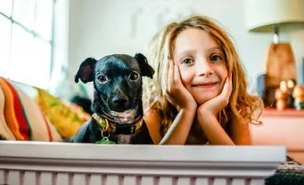 Private In-home Training Out N About Dog Training