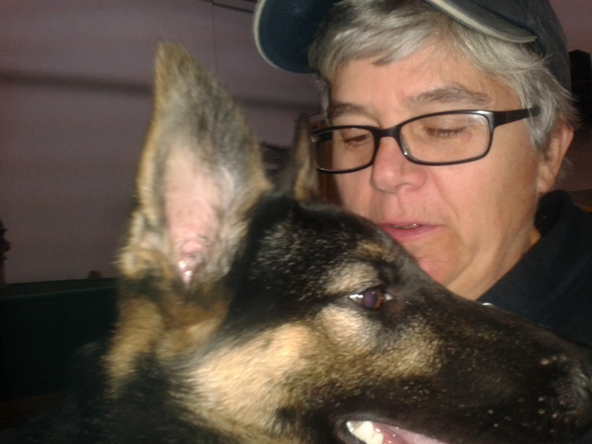 About Us

                            Bring Rover Over is owned and operated professional dog trainer and animal lover, Karen Oliver.

Karen has been certified through the Association of Pet Dog Trainers. She started her dog training career in 1997. Karen is a graduate of the Arizona Canine Academy, and Marin Humane Society’s Canine Consultant/Instructor Training. She is Pet First Aid trained and has been a foster mom for Contra Costa Humane Society and several German Shepherd Rescue groups. Prior to Bring Rover Over Karen worked with a trainer for 5 years: assisted teaching classes, and leading the carting group in parades. Karen loves dogs and wants to help owners enjoy their pets.
