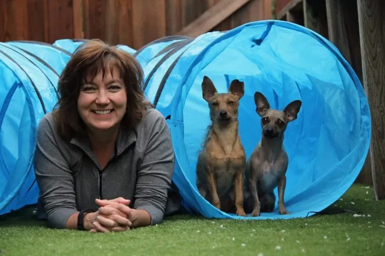 Pleasanton CA Dog Training by Dog Dynamics — dog training in Pleasanton, CA (4)