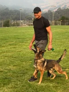Pleasanton CA Dog Training by Dog Dynamics — dog training in Pleasanton, CA (7)