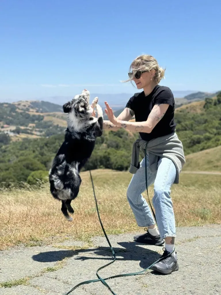 Pleasanton CA Dog Training by Dog Dynamics — dog training in Pleasanton, CA (8)