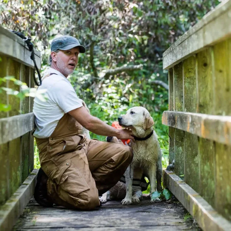 About us 				
				
				
				
									At Bay K9, we believe great dog training isn’t about control or force — it’s about clear communication, structure, and trust. Our goal is simple: help dogs become calm, responsive companions while giving owners the confidence and skills to lead them successfully.Whether you’re raising a new puppy or struggling with serious behavior issues, we focus on real-world results that last beyond the training sessions.								
				
				
				
							
							
											
													
										Professional dog trainer with 20+ years of hands-on experience in obedience and behavior training
									
								
											
													
										Extensive background working with aggressive and high-risk dogs in coordination with dog rescue agencies
									
								
											
													
										Experienced in training home pets, rescue dogs, service dogs, sport dogs, and working K9s