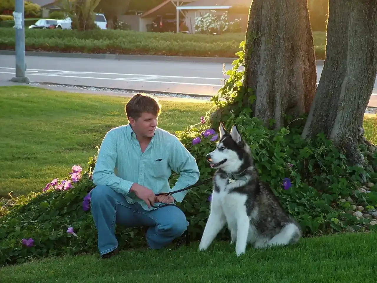 Service Dog Training				
				
				
				
									Task‑based training develops dependable dogs that assist and support handlers.								
				
				
				
									
					
						
						
							
									Read More