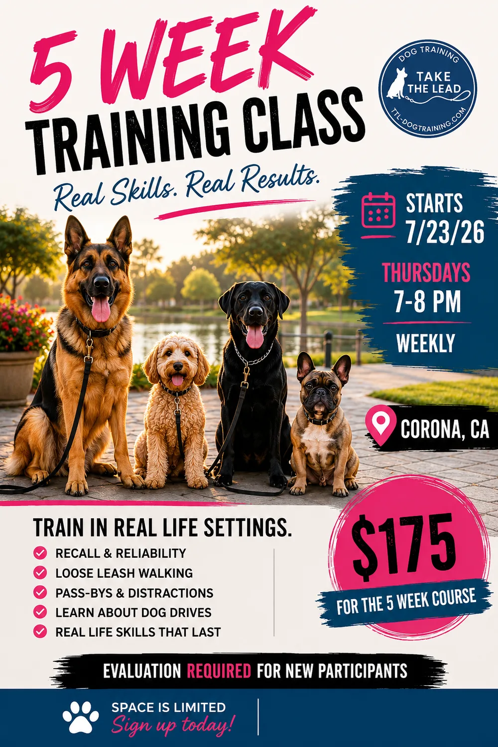 Group Dog Training Classes in Corona, CA


  


  
  SOLD  OUT


  


  
  Group dog training classes provide structured, supervised environments where dogs and handlers can practice skills around real-world distractions. I offer group dog training classes in Corona, CA and throughout the Inland Empire, focusing on obedience, engagement, and controlled social exposure to help dogs build confidence and reliability in everyday settings.Held outdoors, these sessions use natural distractions and real-world obstacles to build your confidence as a leader. Together, we’ll strengthen key skills such as recall, place work, loose-leash walking, pass-bys, field exercises, down commands, and pack walks. We’ll also address reactivity with proven strategies and teach dogs to accept handling from others.