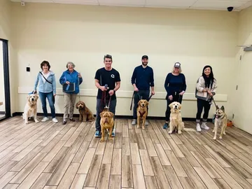 Naughty to Nice Dog Training — dog training in Pleasanton, CA (2)
