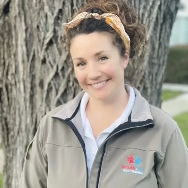 Naughty to Nice Dog Training — dog training in Pleasanton, CA (4)