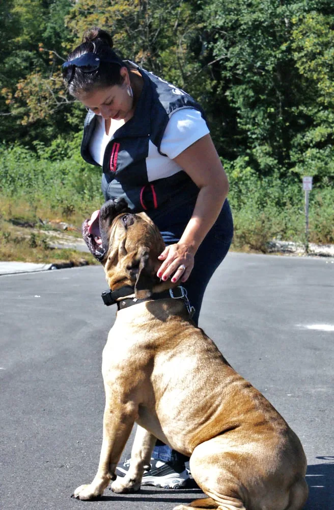 Austin dog trainers helping owners with training