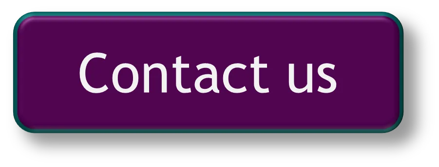 Contact SF Dog Connect about your dog